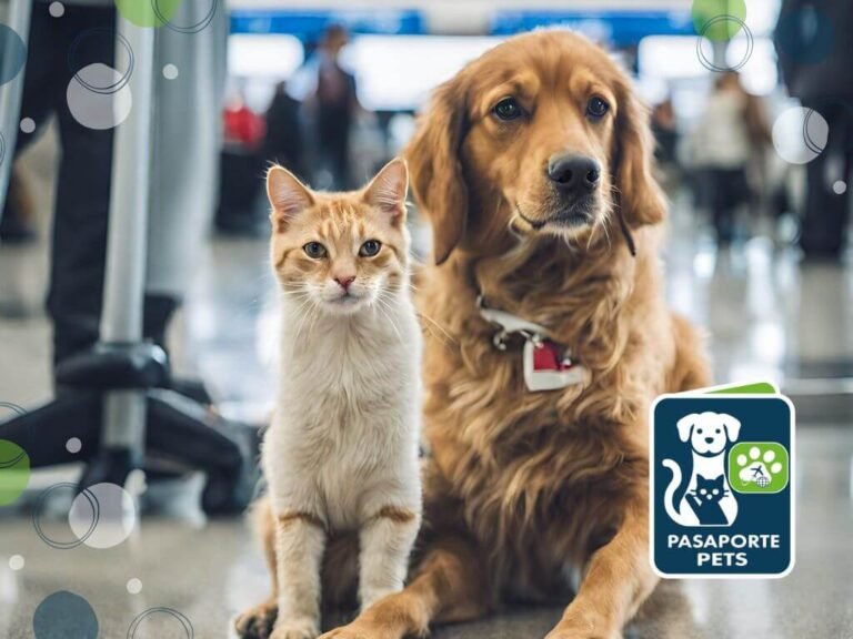 Ingreso y salida de animales de compañía, mascotas (perros y gatos) ICA.